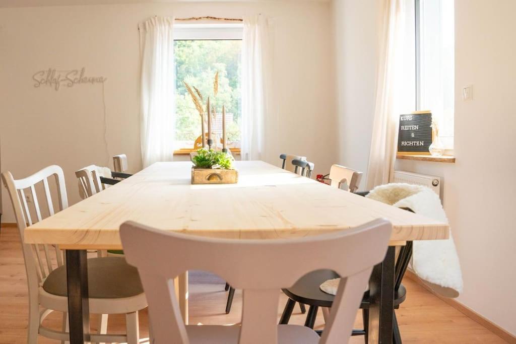 Schlaf-Scheune Auf Islandpferdehof Im Gruenen Steinau an der Straße Buitenkant foto